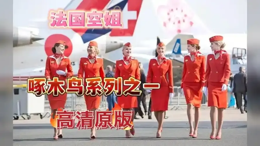 《法国空姐4》资源下载-法国空姐4全季完整版超高清在线观看-赛尔VS影院法国空姐2019满天星法版