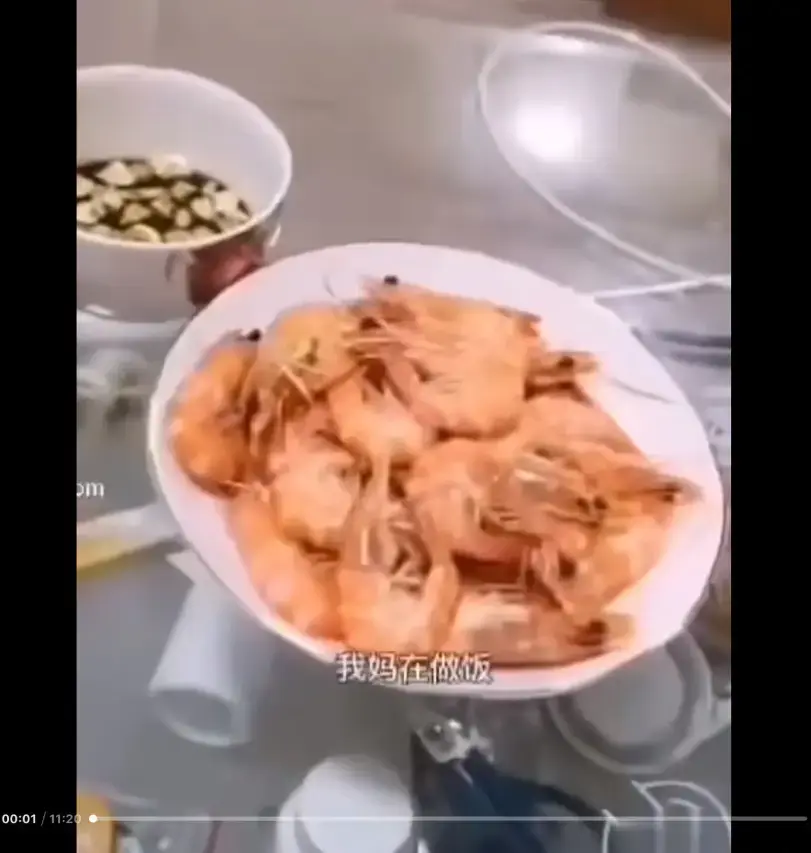 《大虾母子厨房完整版》高清视频全集免费在线观看-猎奇视频资源百度夸克迅雷网盘下载-大虾母子厨房揭开梗的神秘面纱来龙去脉